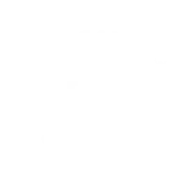 Cosmos_organic_white